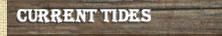Shelter Cove Tides